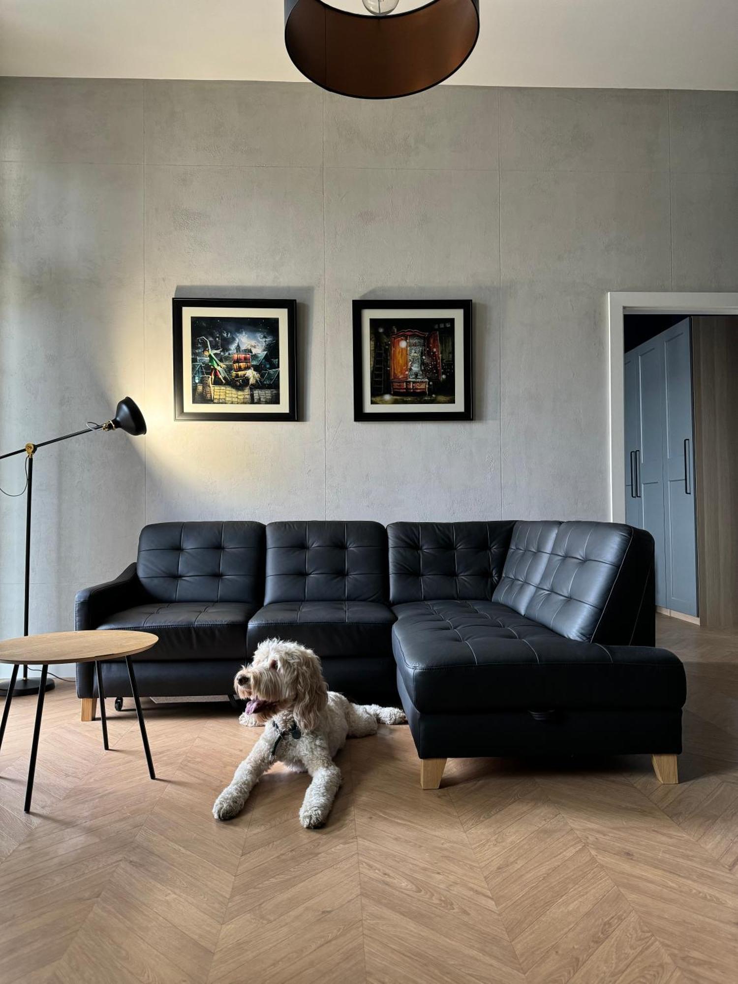 Apartamenty Lemon Pepper Jelenia Góra Eksteriør billede